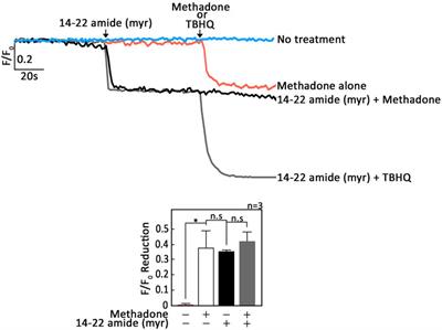 PKA inhibition is a central step in D,L-methadone-induced ER Ca2+ release and subsequent apoptosis in acute lymphoblastic leukemia